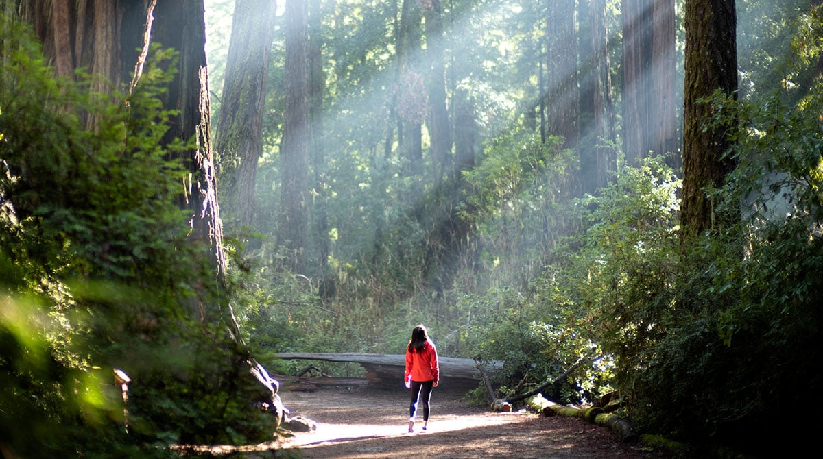 Finding My Way Back With Neuroptimal®
